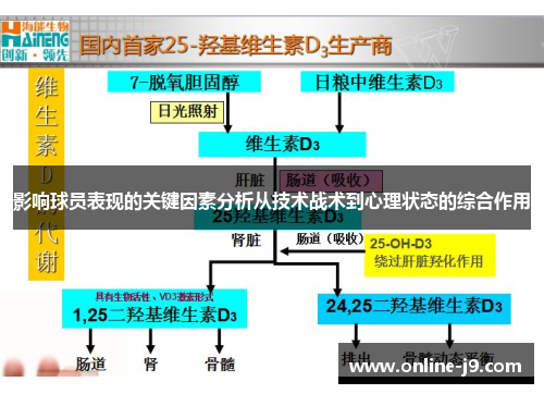 影响球员表现的关键因素分析从技术战术到心理状态的综合作用